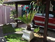 Casa - Venda - Praça Cruzeiro, Rio Bonito - RJ