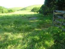 Sítio - Venda - BR-101, Rio Bonito - RJ