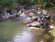 Sítio - Venda - Braçanã, Rio Bonito - RJ