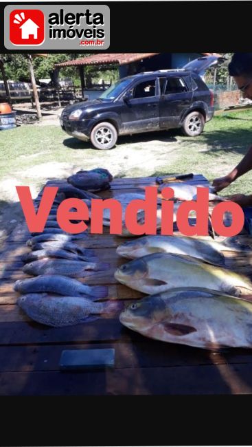 Sítio - Venda:  Boa Esperança , Rio Bonito - RJ