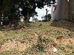 Terreno - Venda - Mangueirinha, Rio Bonito - RJ